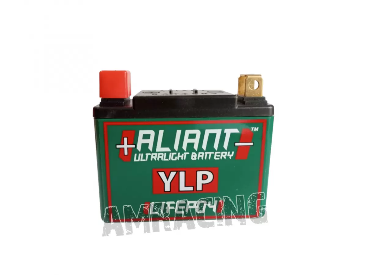 BATERÍA ALIANT YLP09X 12 V, EQ. A 8 AH
